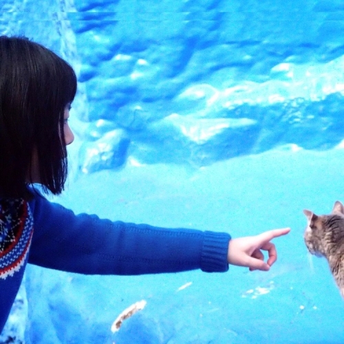 カメラを止めるな の感想 ロンドンの映画館でも拍手喝采でした ラジヨンド シネマ カメラを止めるな の感想 ロンドンの映画館でも拍手喝采でした ラジヨンド シネマ